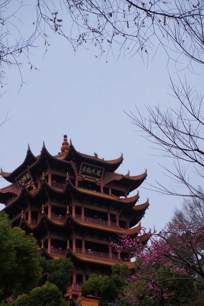 武汉一日游玩乐指南：解锁城市魅力